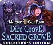 Mystery Case Files Dire Grove Sacred Grove